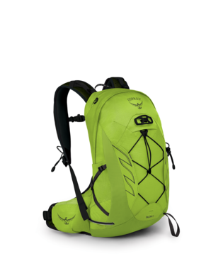 Osprey talon 22 spring green top