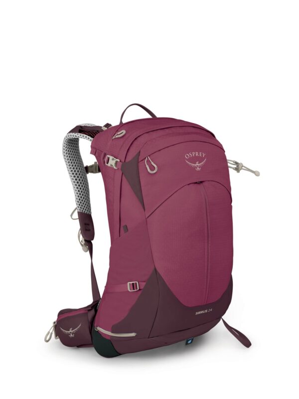Osprey Sirrus 24_10005784_Elderberry Purple