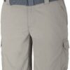 Columbia Silver Ridge II Cargo Short_1794922_tusk 221