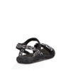 Teva Nova
