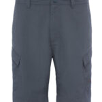 TNF Horizon Short Men_TOCF72_Asphalt Grey