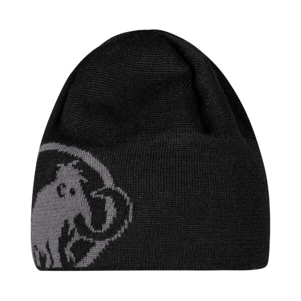 Mammut Tweak Beanie_1191-01352_Black-Titanium-0486