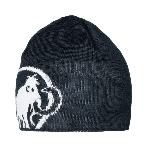 Mammut Tweak Beanie_1191-01352_Marine-White-5899