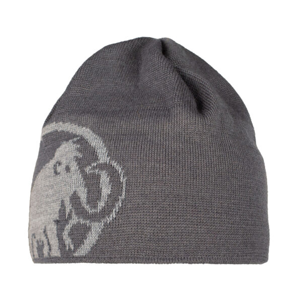 Mammut Tweak Beanie_1191-01352_Titanium-Granit-00011