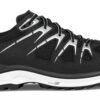 Lowa Innox Evo GTX Lo Ws_320616_Black-silver