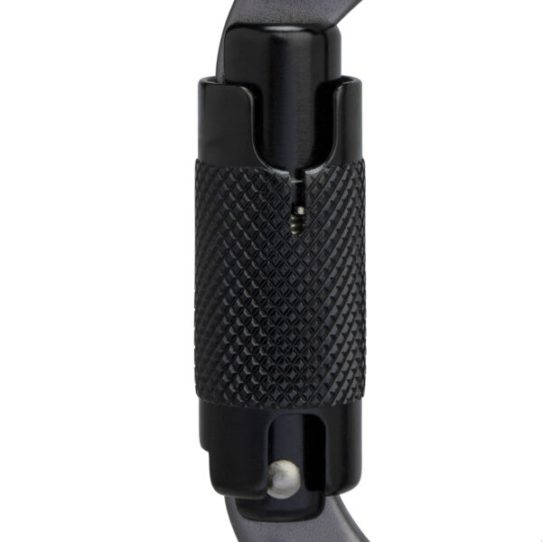 Mammut Sender Twistlock Carabiner_2040-02540_detail2