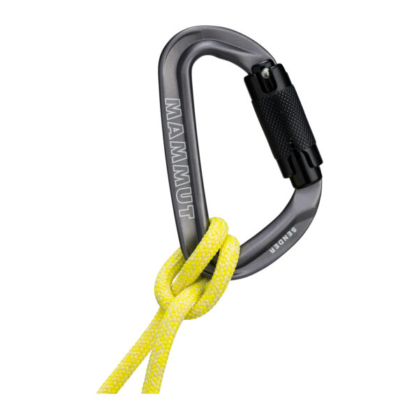 Mammut Sender Twistlock Carabiner_2040-02540_detail